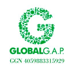 La imagen tiene un atributo ALT vacío; su nombre de archivo es 255-x-255-px.png